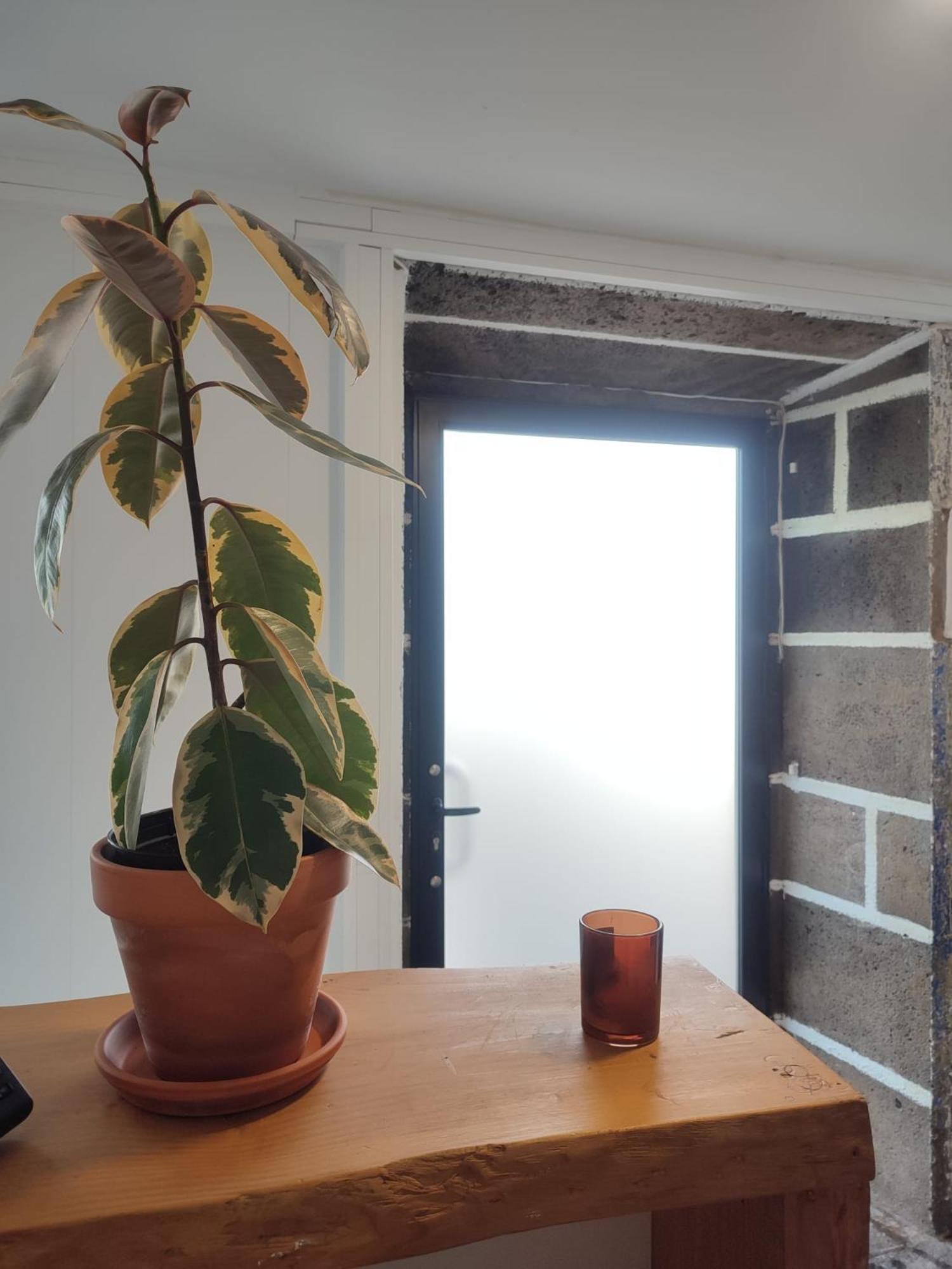 Fenais Da Luz House Bed & Breakfast Luaran gambar